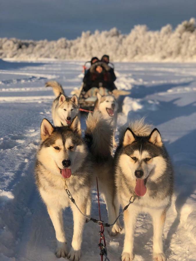 Scandinavian Home Rovaniemi Dış mekan fotoğraf
